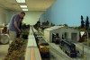 James_and_Paul_trains_meet_at_CP_Lewis_Part_2_July_25_2010.jpg