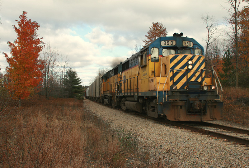 Great Lakes Central
GLC 390-393 just outside of South Boardman.
10.21.08
