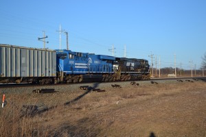 ns8098a.jpg