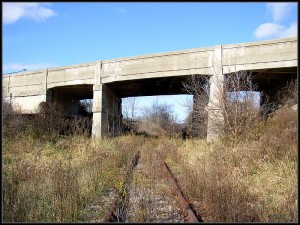 GrandRiverOverpass.jpg