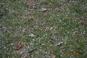 snowpellets1.jpg