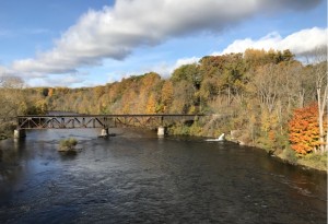 Newaygo Bridge.jpg