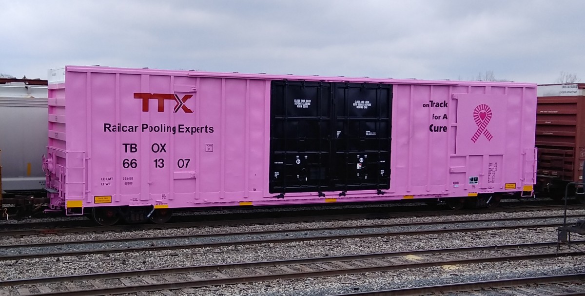 TTX Cancer Awareness car at Conrail's River Rouge yard.
