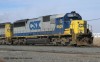 CSX-8609.jpg