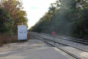 MQT Walhalla Road looking east 10-26-2021.jpg